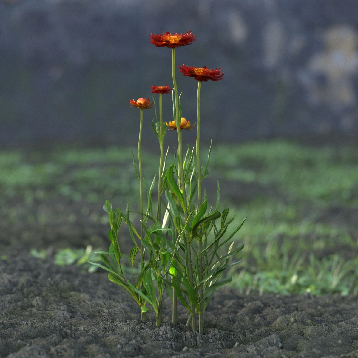 自然生长的鲜花3D模型