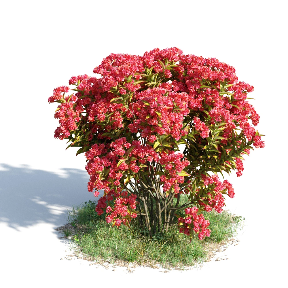 3D红色花朵树模型