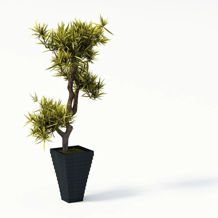 植物盆栽绿植31