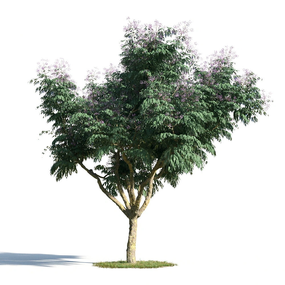 3D紫色花树模型