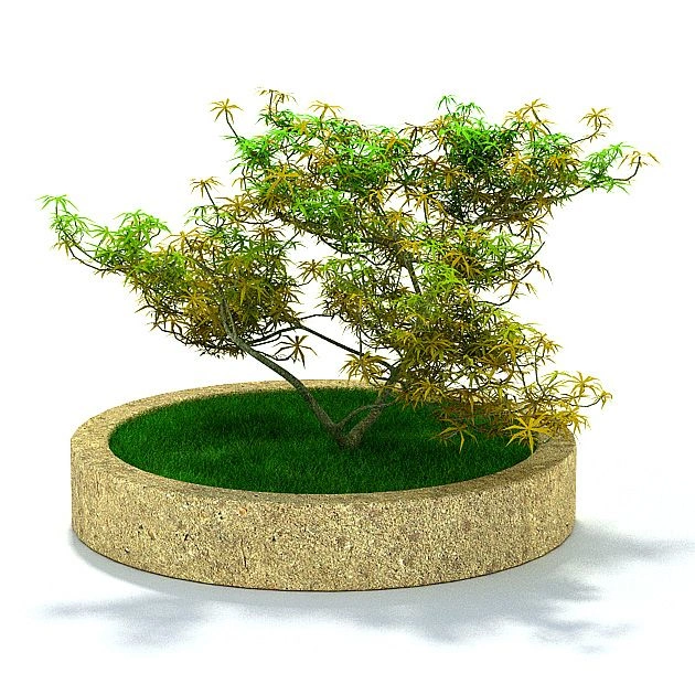 植物47