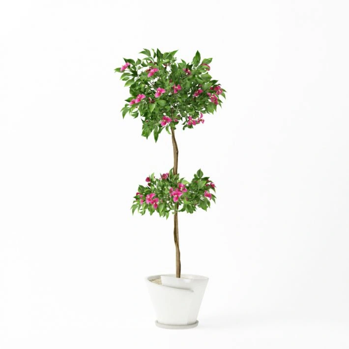 植物绿植盆栽108