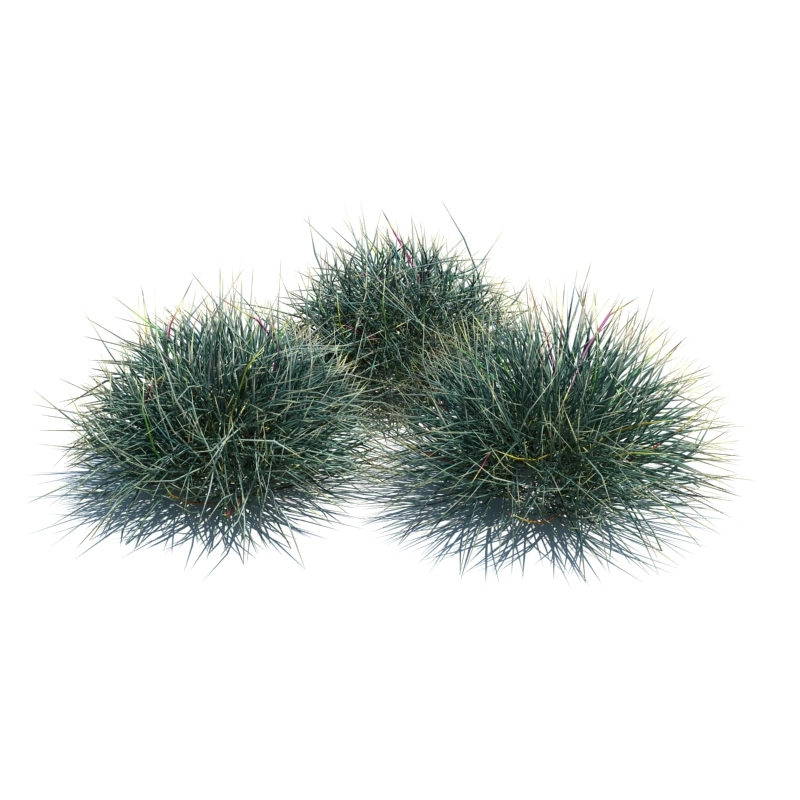 草地小型植物83