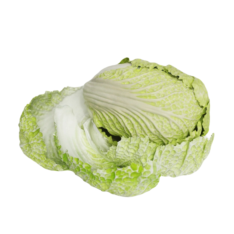 卷心菜1