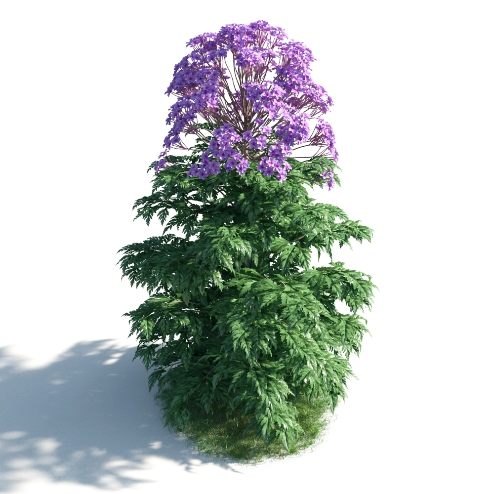 紫色花团簇3D模型