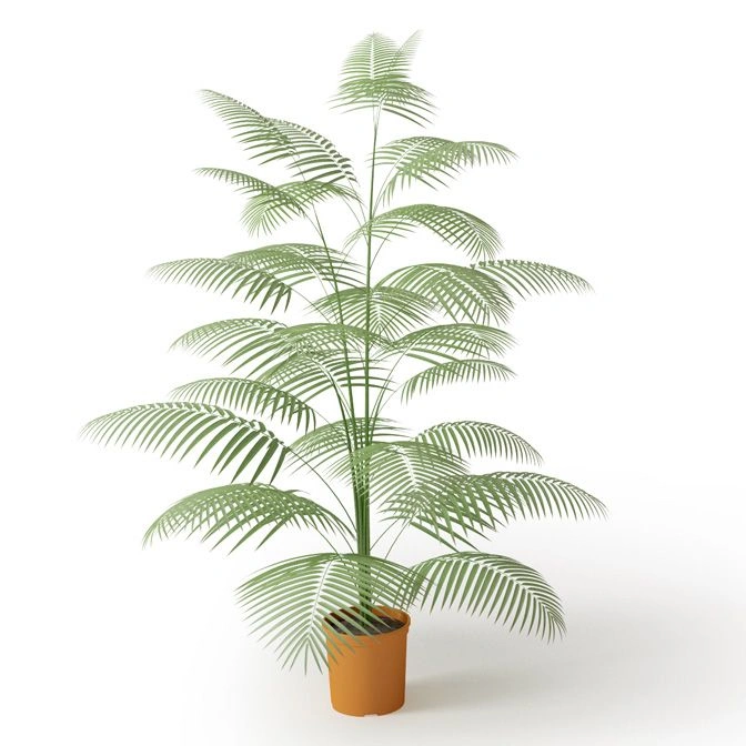 植物绿植盆栽38