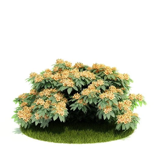 植物绿植树木95