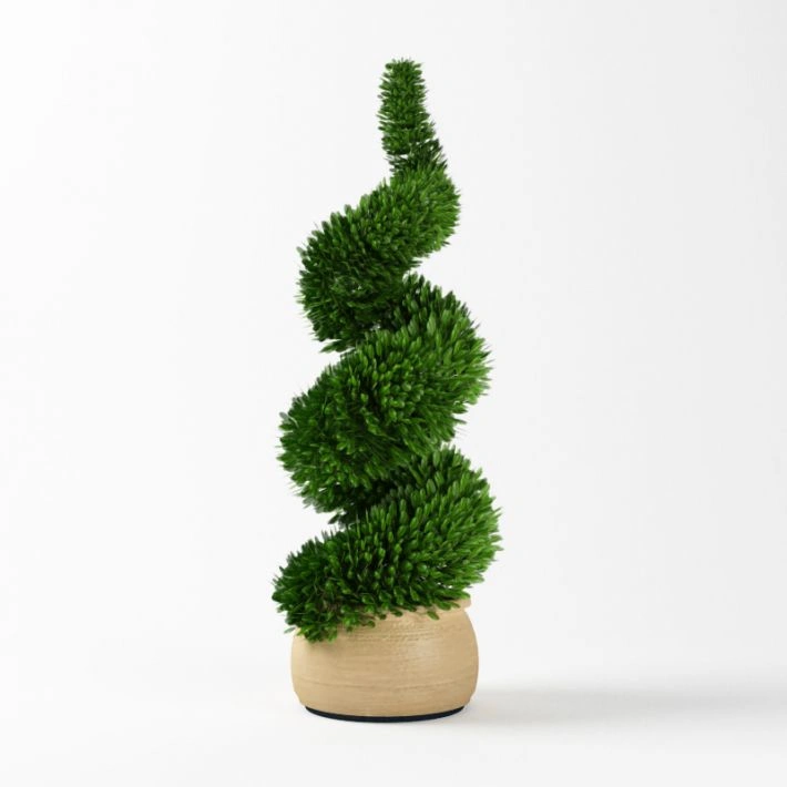 植物绿植盆栽107
