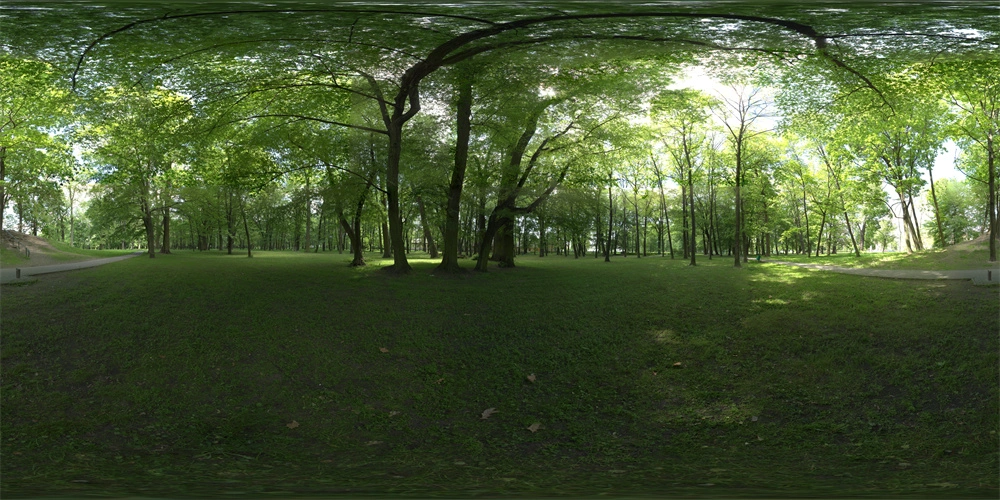 森林公园全景360度HDR图像
