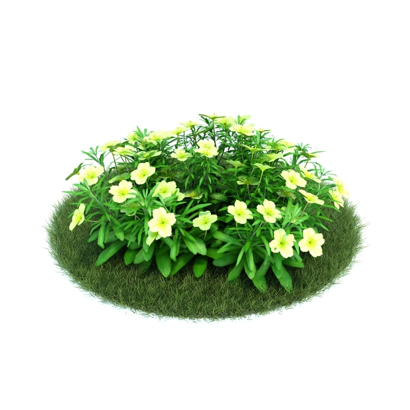 花园植物绿植花卉36