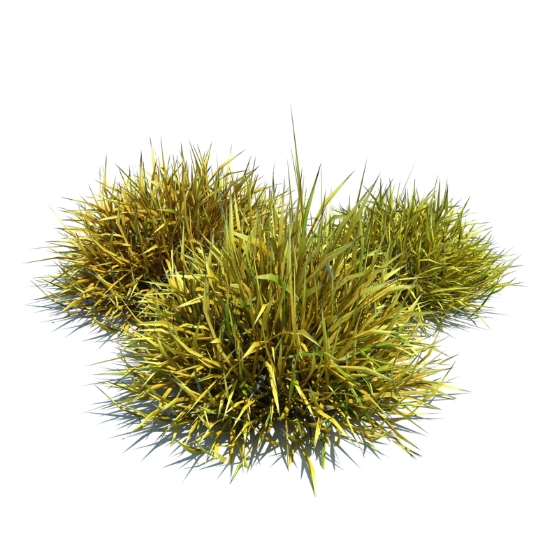 草地小型植物86