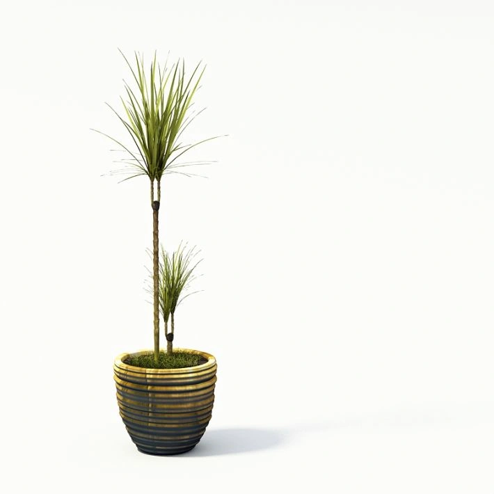 植物盆栽绿植15