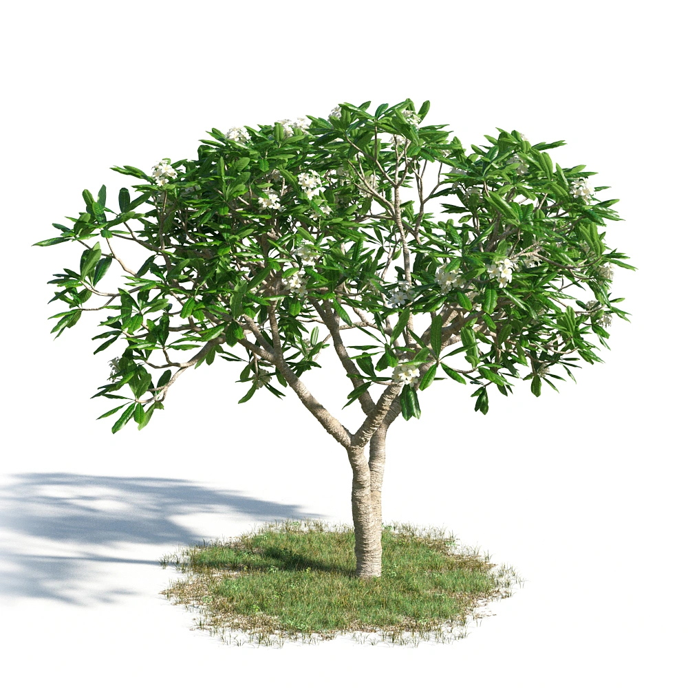 3D绿色植被模型