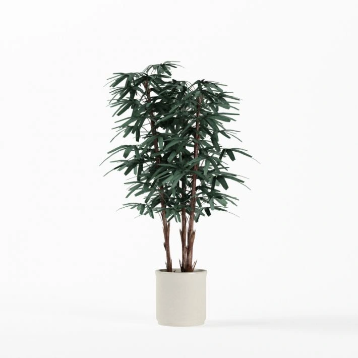 植物绿植盆栽70