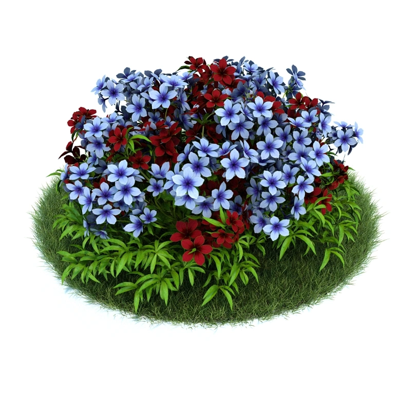 花园植物绿植花卉39