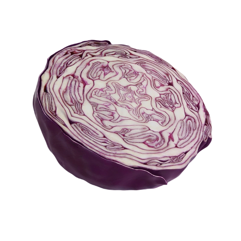 卷心菜