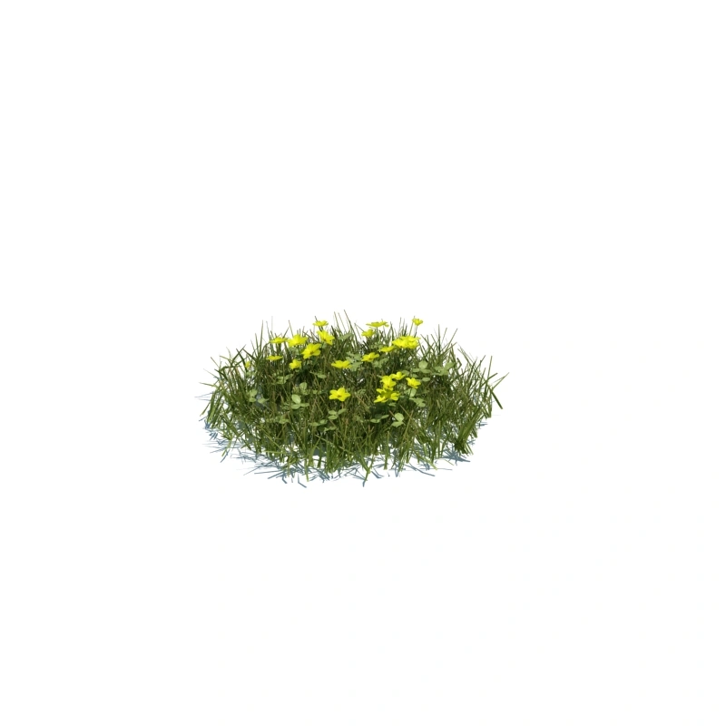 草地小型植物118