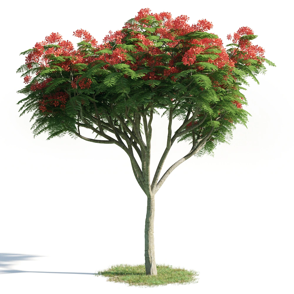3D红色花朵树模型