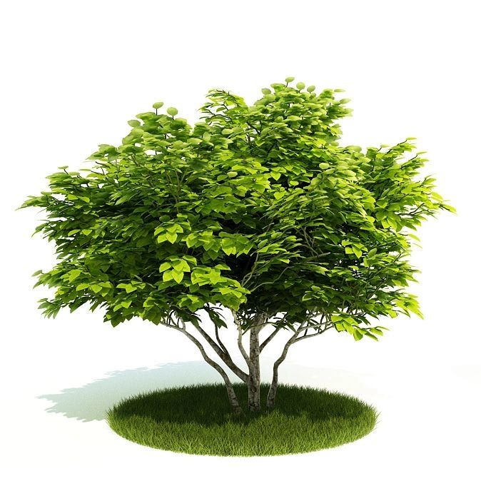 植物绿植树木88