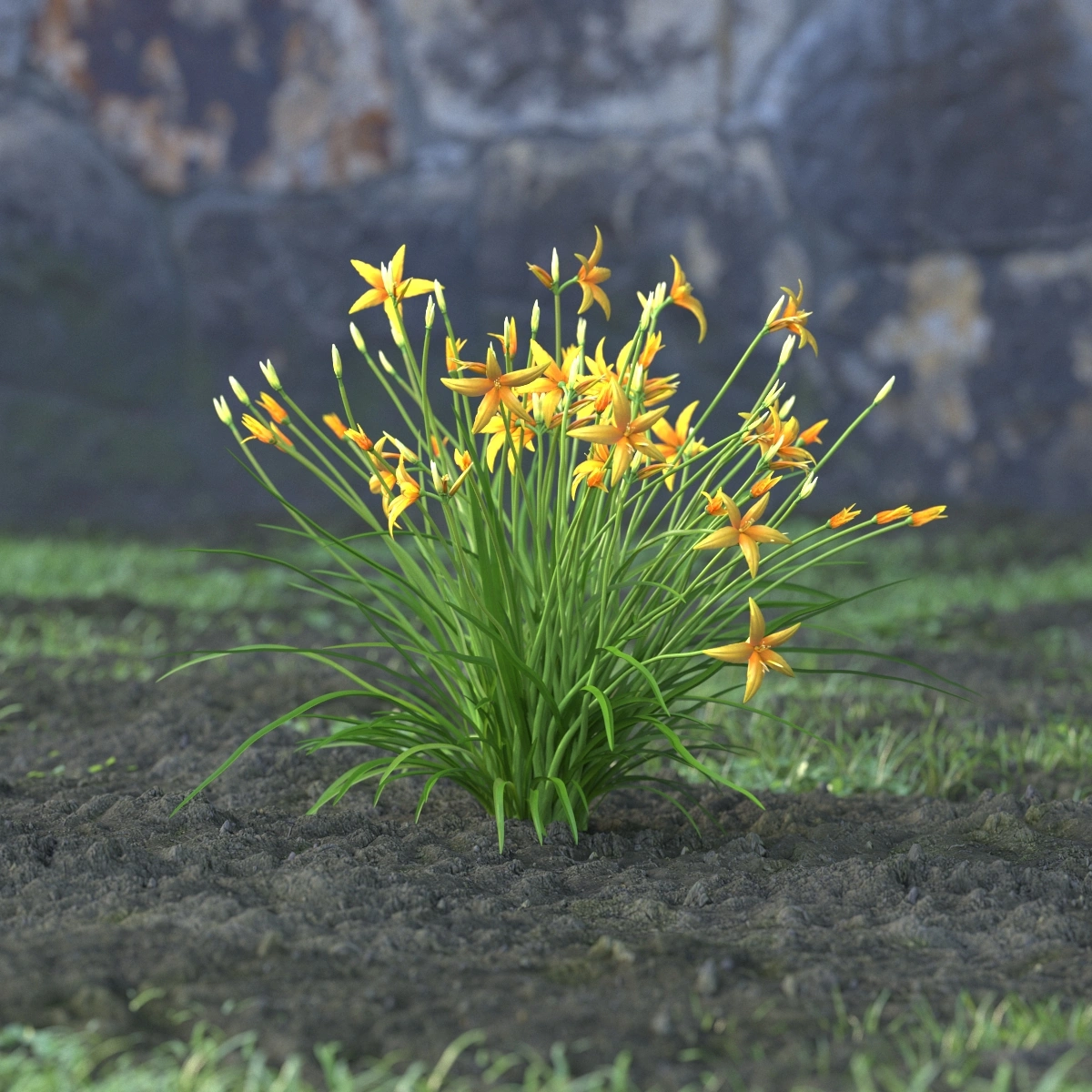 黄色花卉3D模型