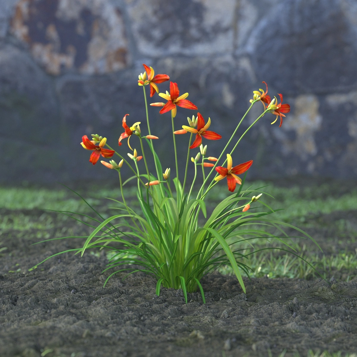 3D橙色鲜花草丛模型