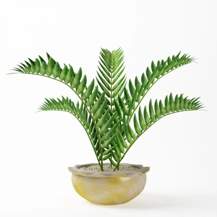 植物绿植盆栽94