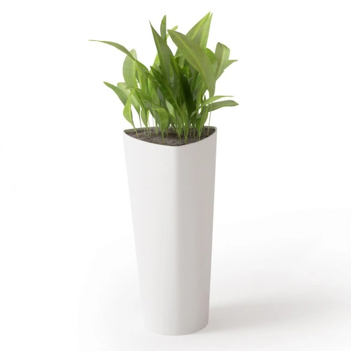 植物绿植盆栽25