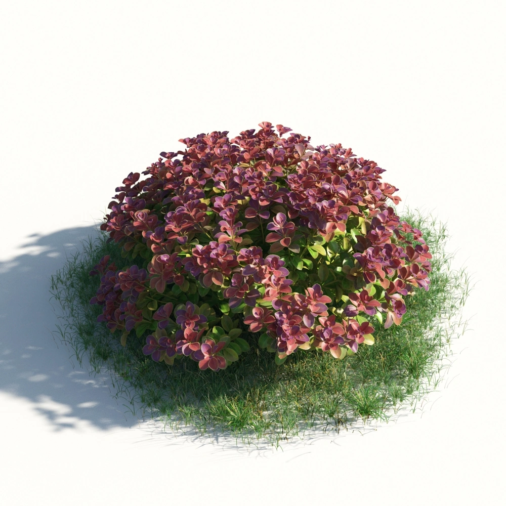3D紫红色球形植物模型