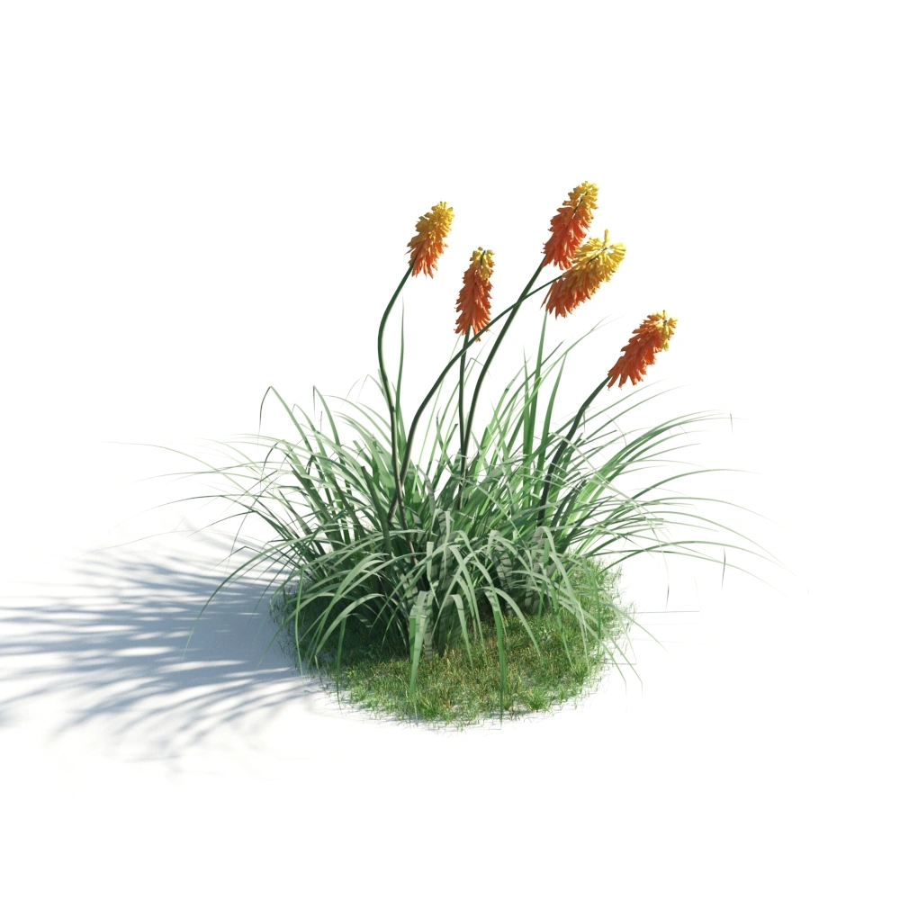 3D鲜花草丛模型