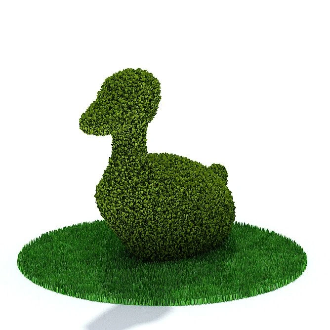 植物34