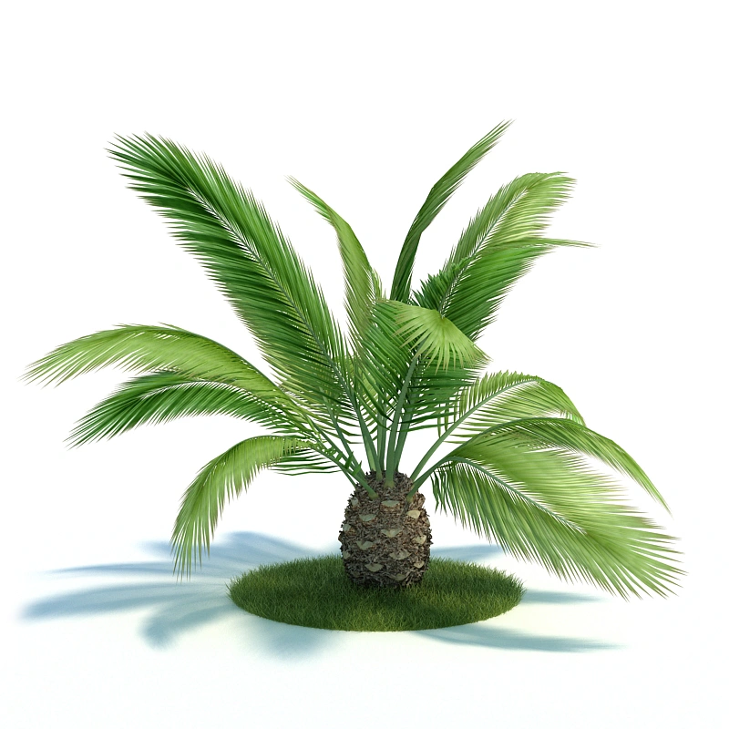 植物绿植树木200