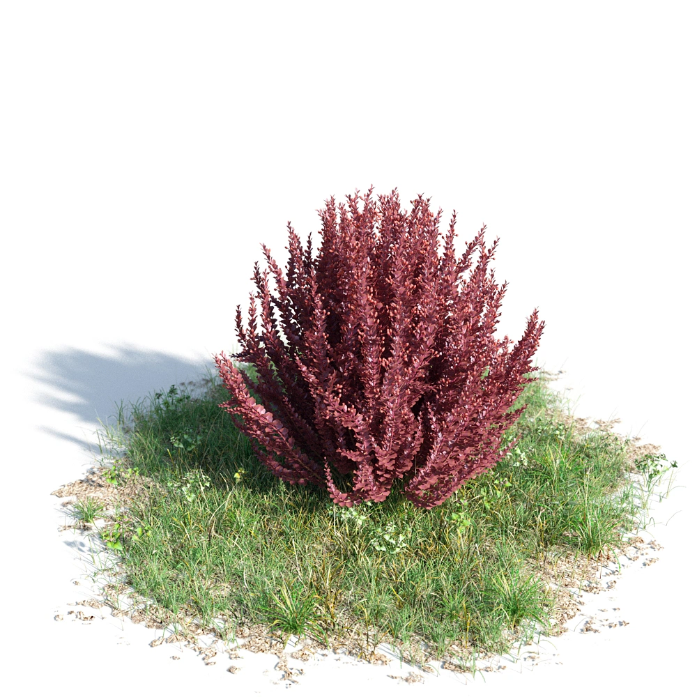 红叶灌木3D模型