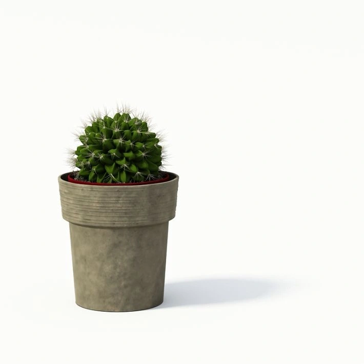 植物盆栽绿植1