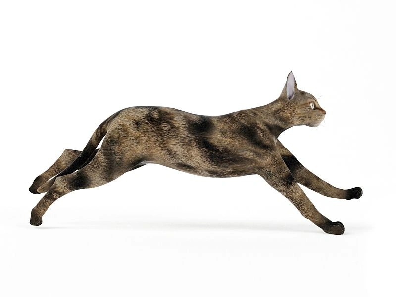 奔跑的虎斑猫3D模型