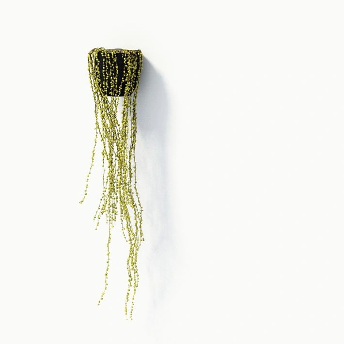 植物盆栽绿植30