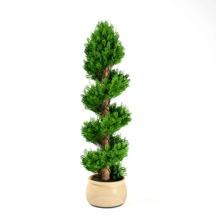 植物绿植盆栽64