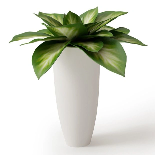 植物绿植盆栽4