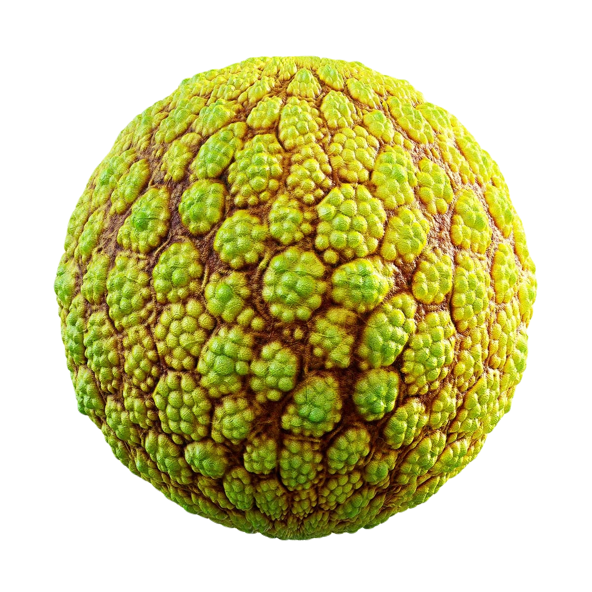 绿色球形生物皮肤材质贴图