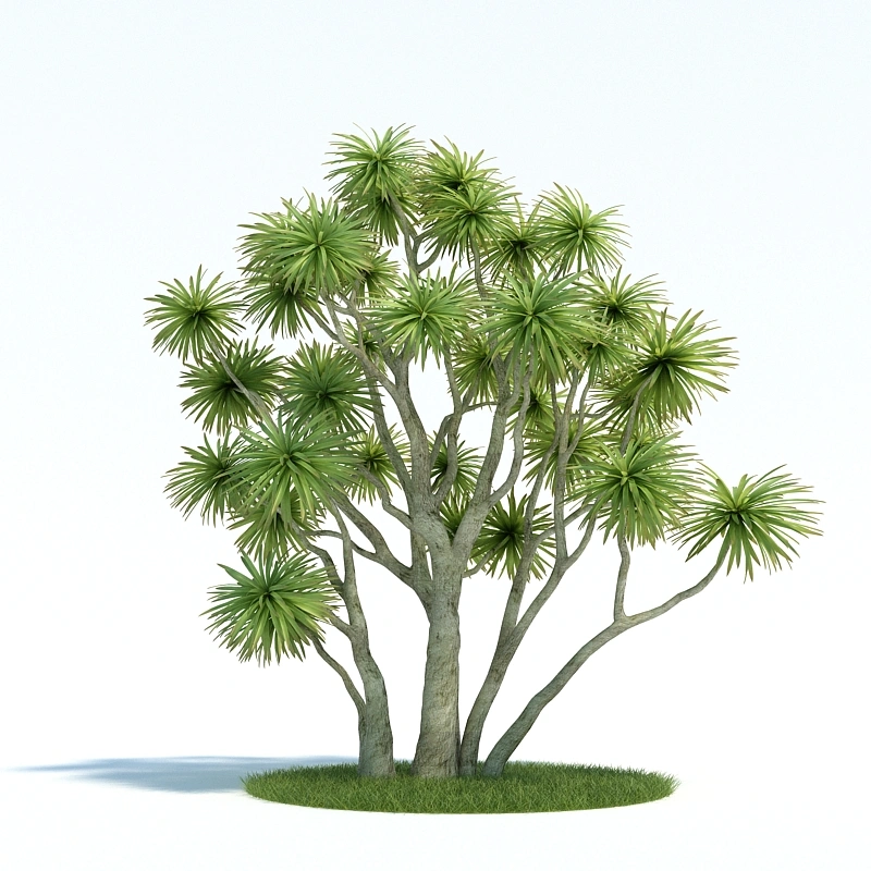 植物绿植树木186
