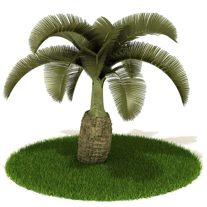植物绿植树木9