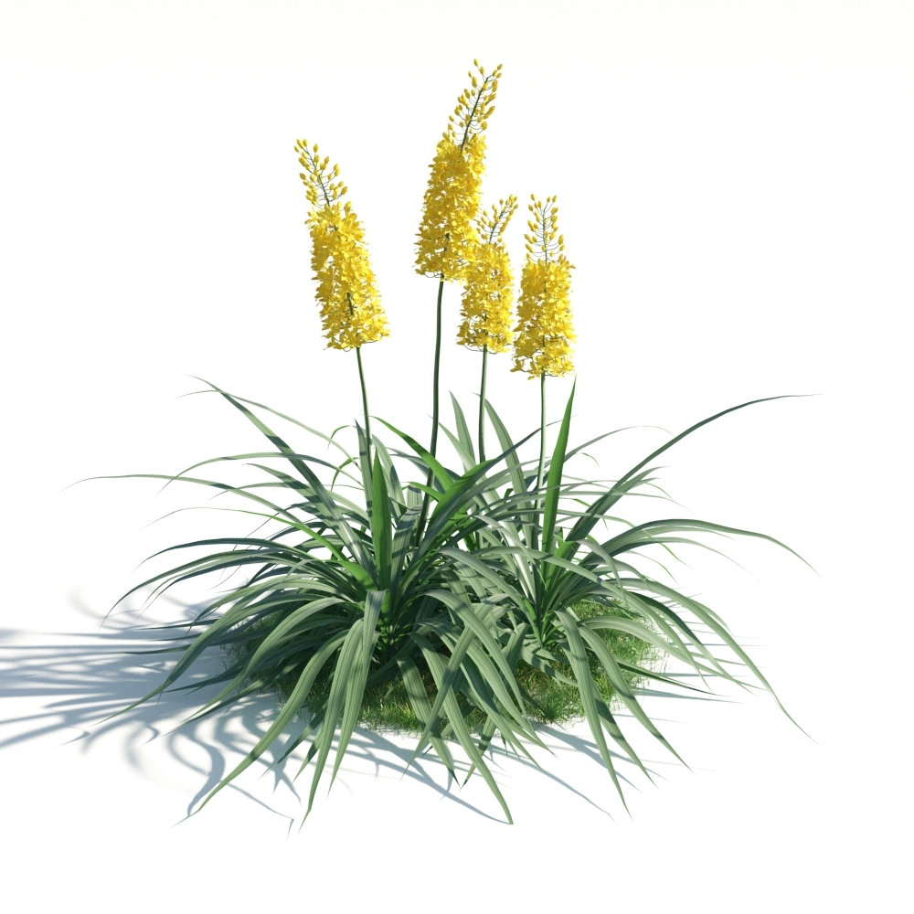 黄色花束3D模型