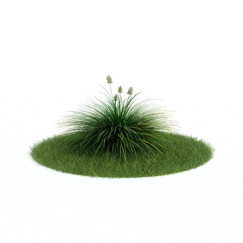 植物绿植树木222