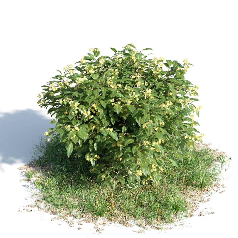 自然花丛3D模型