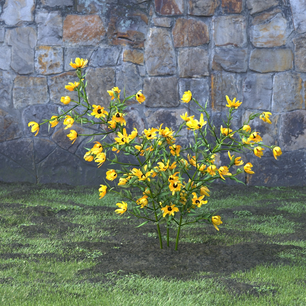 3D黄色鲜花植物模型
