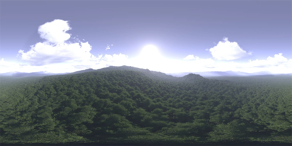 日出时分的森林全景360度HDR图像