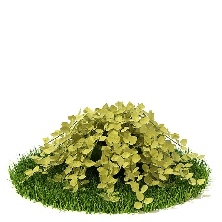 植物绿植树木56