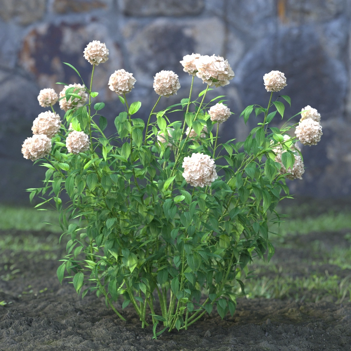 花园球形花丛3D模型