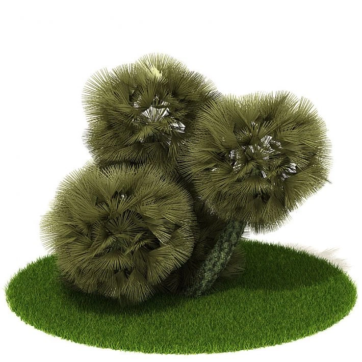 植物绿植树木16