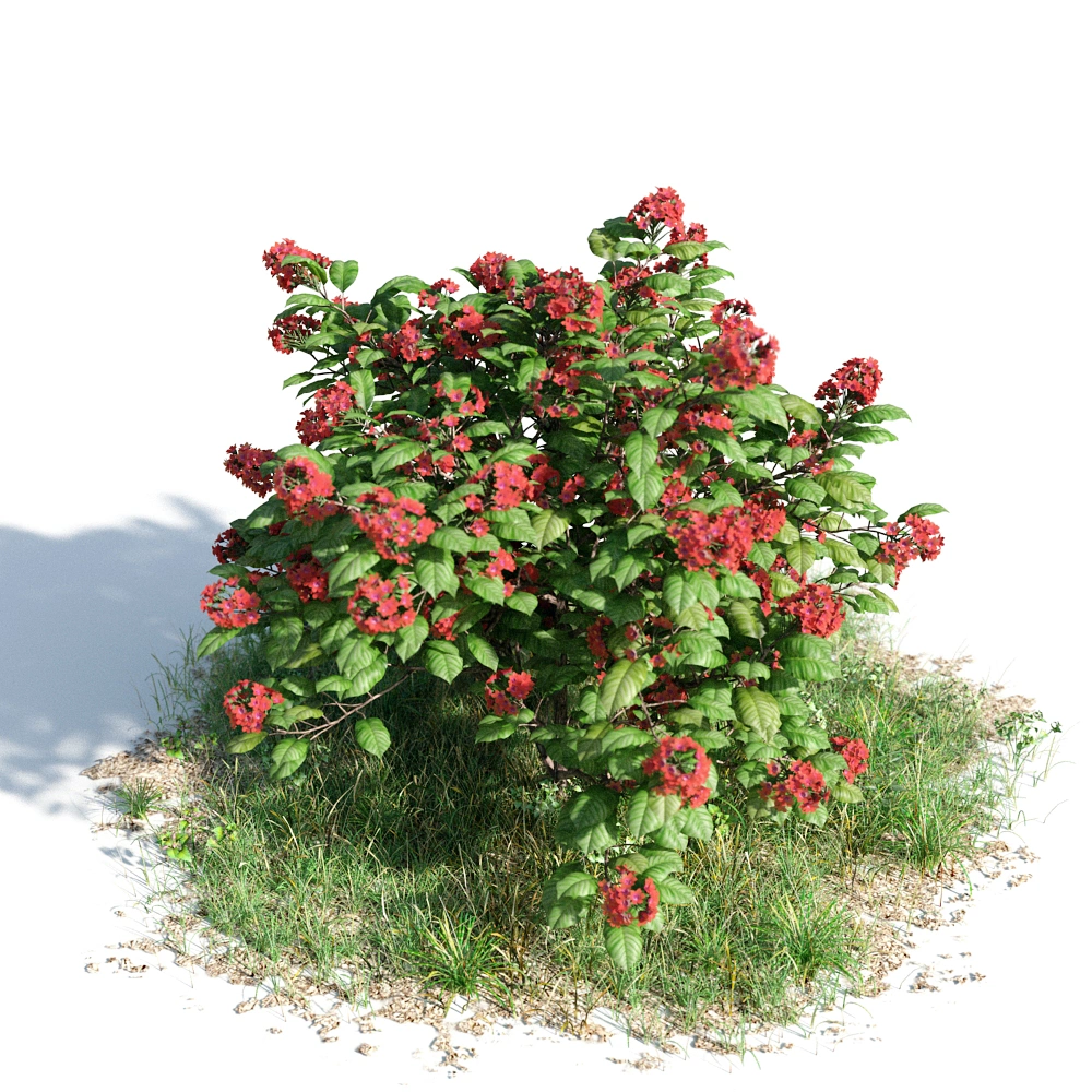 红色花丛3D模型