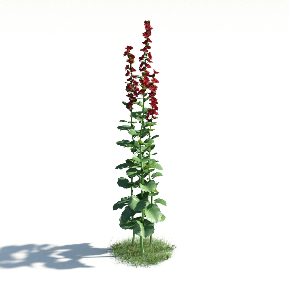 3D红色花朵植物模型